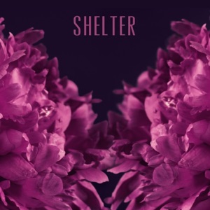 Shelter - Single