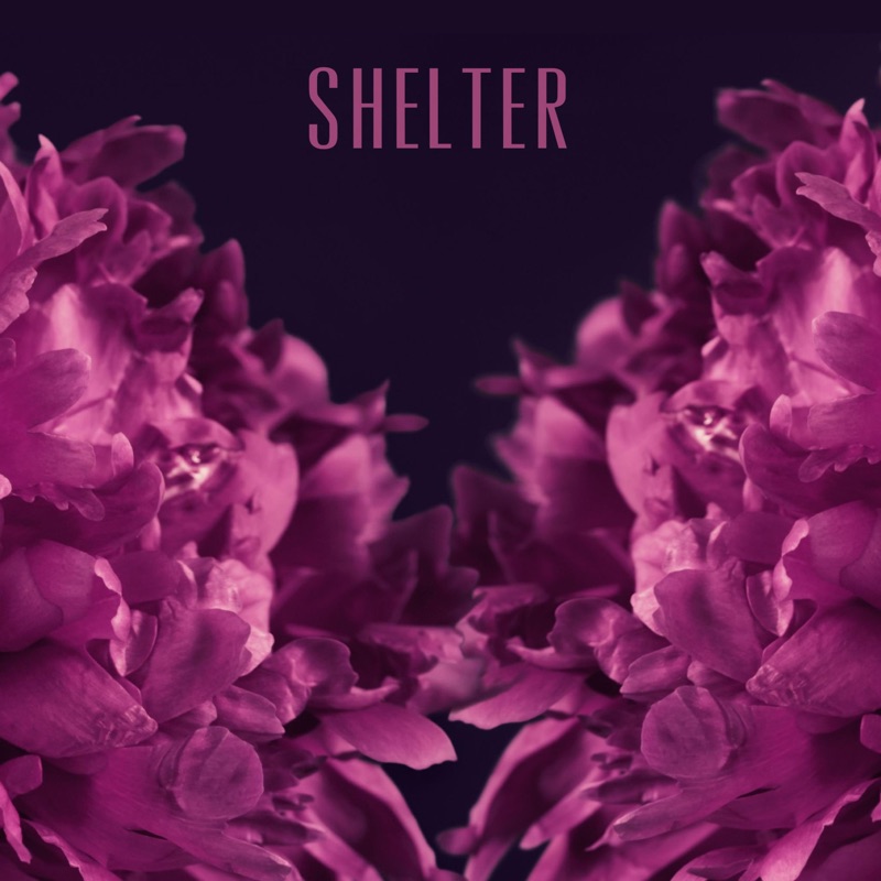 Shelter