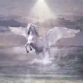 Sconosciuti