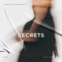 Secrets (Safe With Me) - Single - Matt Reed & TheMattReedProject