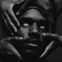 Am I Healed? (feat. Chris Patrick) - Single - Roman Toyi