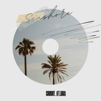 Seashore (feat. Dan) - Single - Chunky