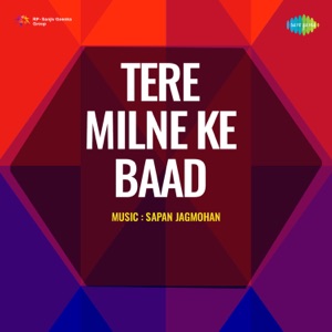 Tere Milne Ke Baad (Original Motion Picture Soundtrack) - EP