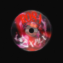 Rosa (feat. Plx) TEO B