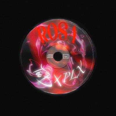 Rosa (feat. Plx) - Single