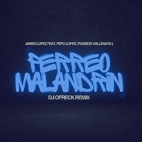 Perreo Malandrin (feat. APV Passion Vallenata) - Single - DJ Ofreck