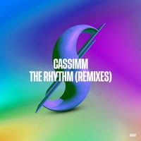 The Rhythm (Remixes) - Single - CASSIMM, Killed Kassette & Shane Fernandes