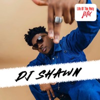 Dj Shawn: World Happiness Mix (The Happy Series) [DJ Mix] - DJ Shawn