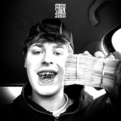 STARK - Single