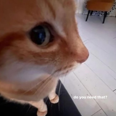 WtfYouTalkinBout (feat. PunchMadeRiq) - Single