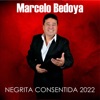 Negrita Consentida 2022 - Single