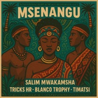 Msenangu (feat. Tricks Hr, Blanco Trophy & Timatsi) - Single - Salim Mwakamsha