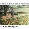 Milagre em Mogi