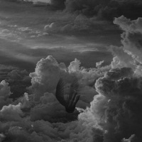 Damn! Fell Outta Love Again. (feat. iamgustavlou) - Single - Blxck Fyxh & LL K.I.D