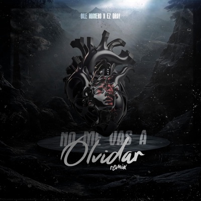 No me vas a olvidar (feat. Oile romero) [Remix] - Single