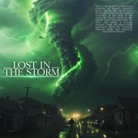 Lost In the Storm - Single - Maltorian