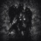 Evolving Sound - DreamBeatsLab lyrics