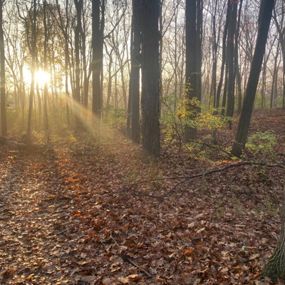 Heavenly (feat. Nickowrld & juxtmichael) - Single