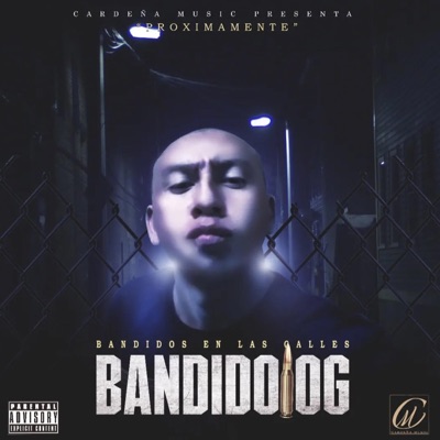 Bandidos en las Calles - Single