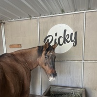 Wolves of Glendale - Ricky