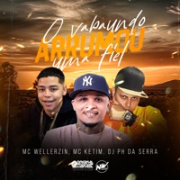 O Vagabundo Arrumou uma Fiel - Single - Dj Ph Da Serra, MC Wellerzin & MC Ketim