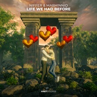 Life We Had Before - Single - Niffer, Marhinnio & Vakt Studios