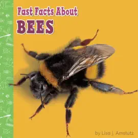 Fast Facts About Bees: Fast Facts About Bugs & Spiders (Unabridged)