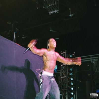 Turn To Gold - Single