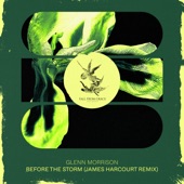 Before the Storm (James Harcourt Smoother Mix) artwork