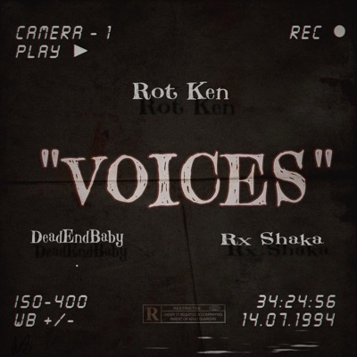 Voices (feat. Rot Ken & DeadEndBaby) - Single