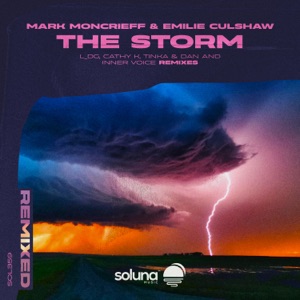 The Storm Remixed - EP