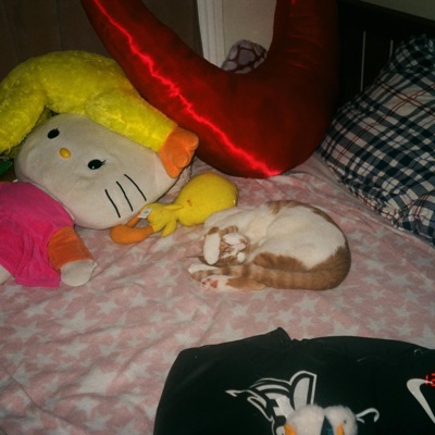 Dirty Temple (feat. jvnaswitch & shad) - Single