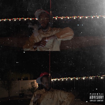 Ran Up a Dub - Single