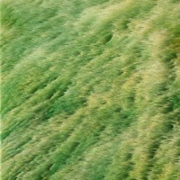 Lie to Me (feat. Marlin Ben) - Single - Holem