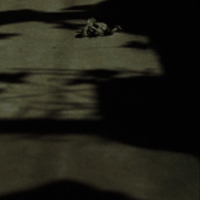 Insects Pts.I-IV - EP