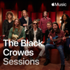 Dirty Cold Sun (Apple Music Sessions) - The Black Crowes