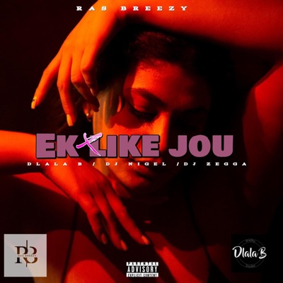 Meisie ek like jou (feat. Dlala B, Dj zegga & Dj Nigel) - Single
