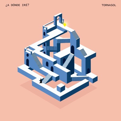 ¿A dónde iré? - Single