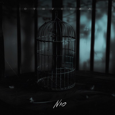 Отпустил - Single
