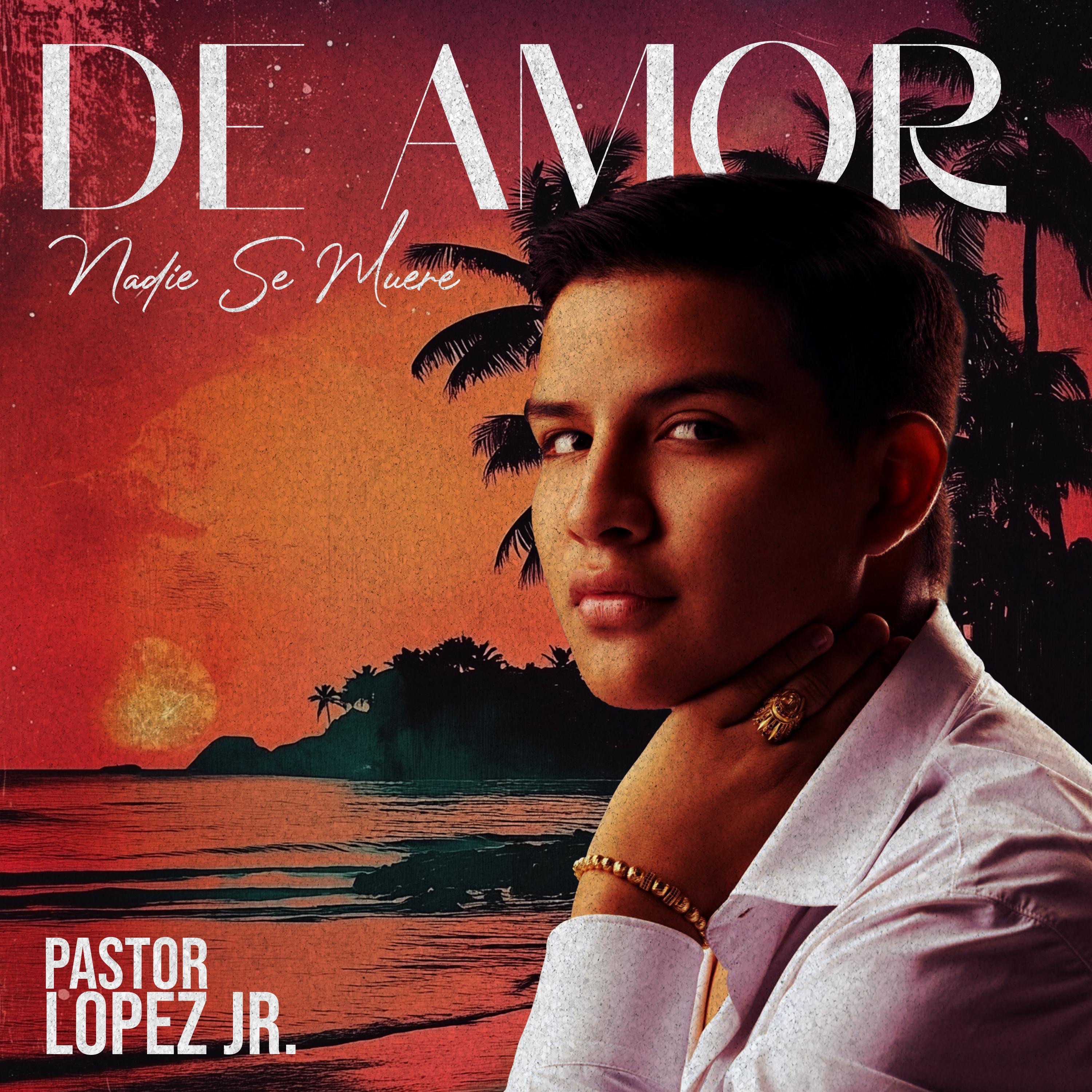 De Amor Nadie Se Muere - Single