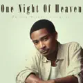One Night Of Heaven