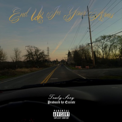 End Up In My Arms (feat. Truly Srry) - Single