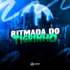 Ritmada do Tigrinho (feat. MC JZL) - Single