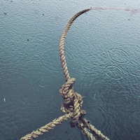 KNOT - Single - Day Jam