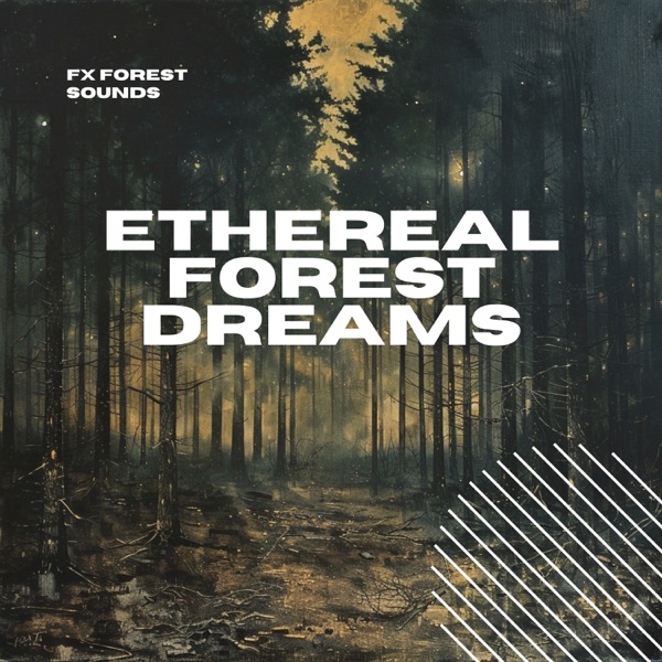 Ethereal Forest Dreams: Relaxing Woodland