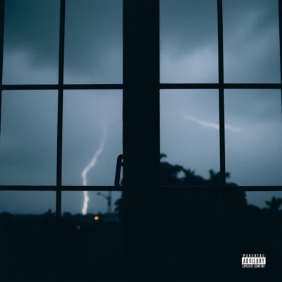 Through The Storm - Single