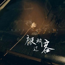 被动过客 赵偲旖