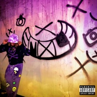 SMXLE FOR THE CAMERA - Smxle