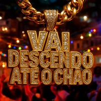 VAI DESCENDO ATE O CHAO - Single - DJAY VMC & Mc Mr. Bim