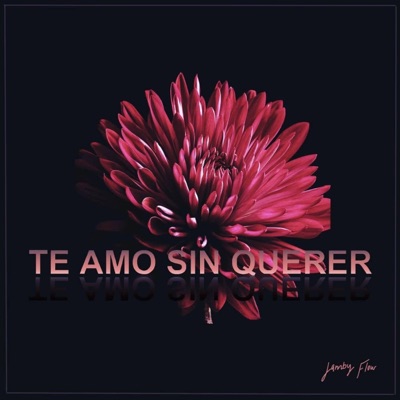 Te amo sin querer (feat. G Randy) - Single